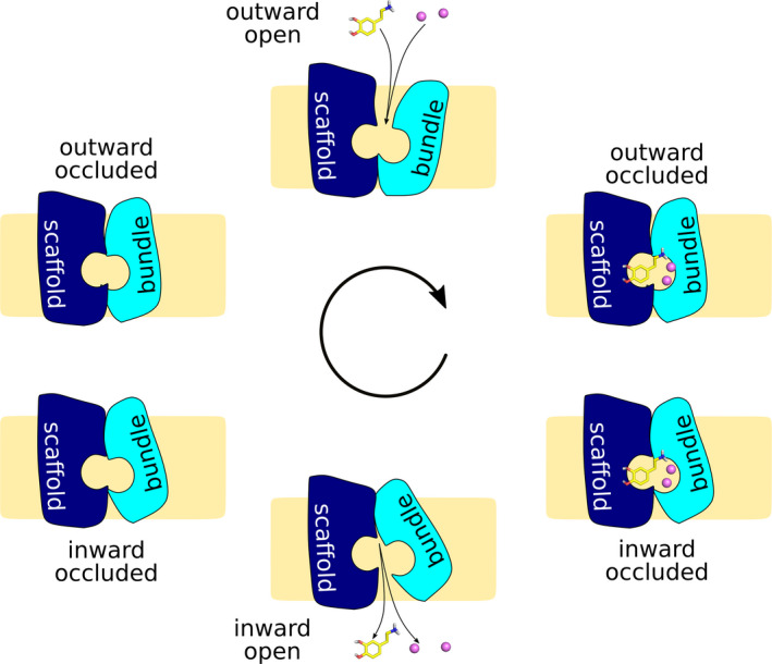 FIGURE 1