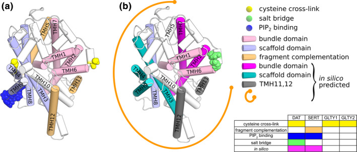 FIGURE 2