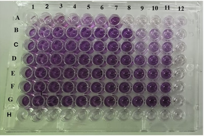 Fig. 15