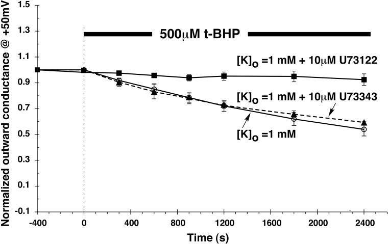 Fig. 10.