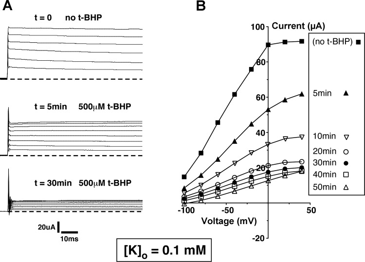 Fig. 8.