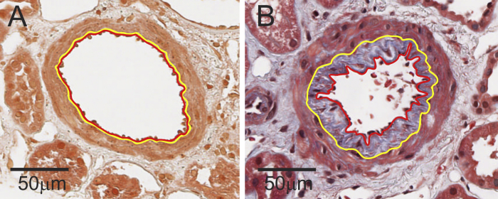 Figure 2