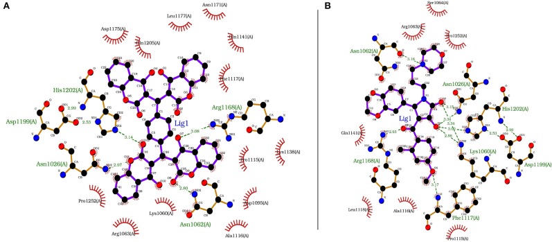 Figure 7