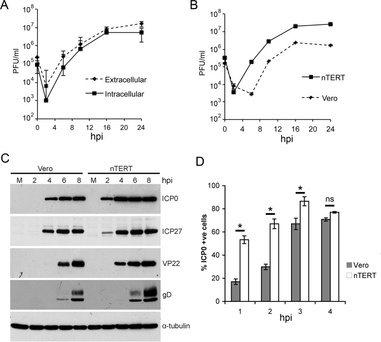 FIG 1