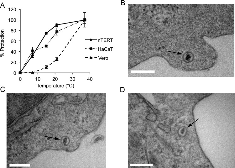 FIG 7