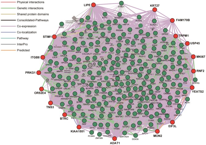 Figure 2.