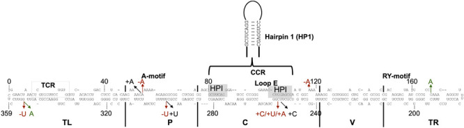 FIGURE 3