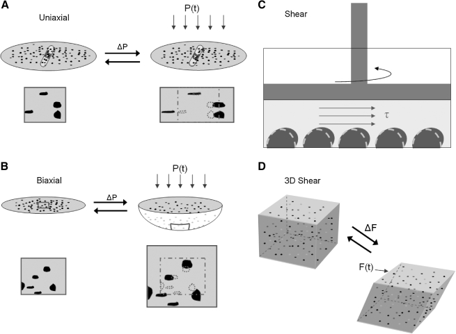 FIG. 1.