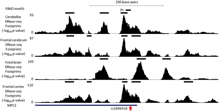 Figure 5.