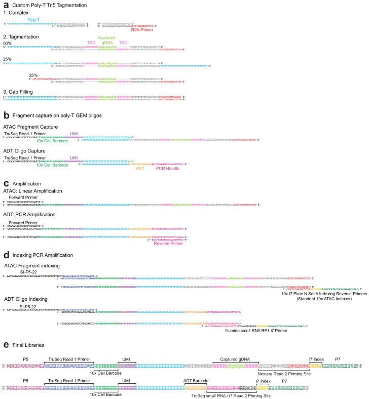 Figure 3—figure supplement 1.