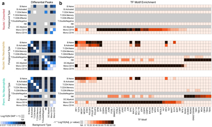 Figure 2—figure supplement 2.