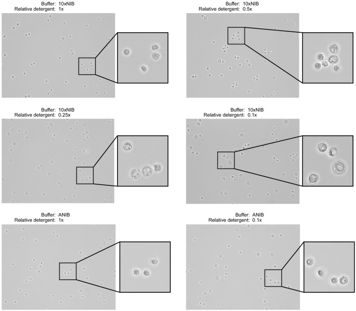 Figure 1—figure supplement 1.