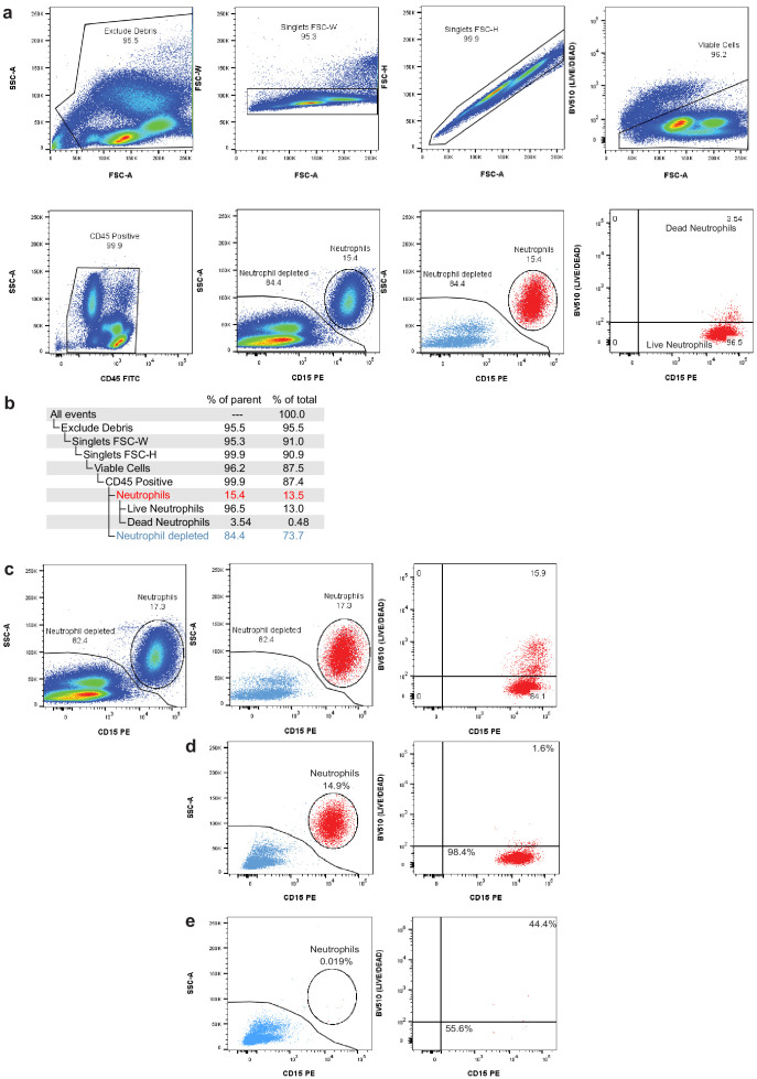 Figure 1—figure supplement 4.