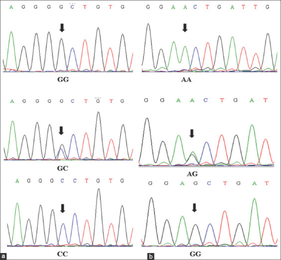 Figure-1