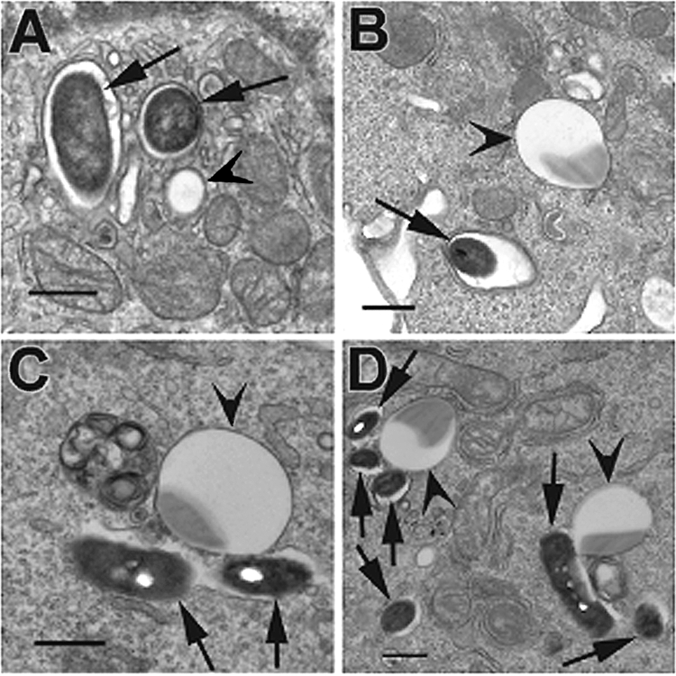 FIG. 6.