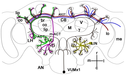 Figure 9