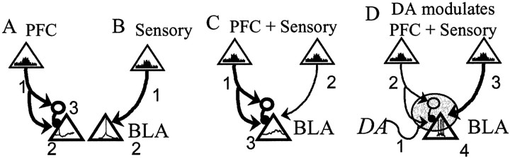 Fig. 12.