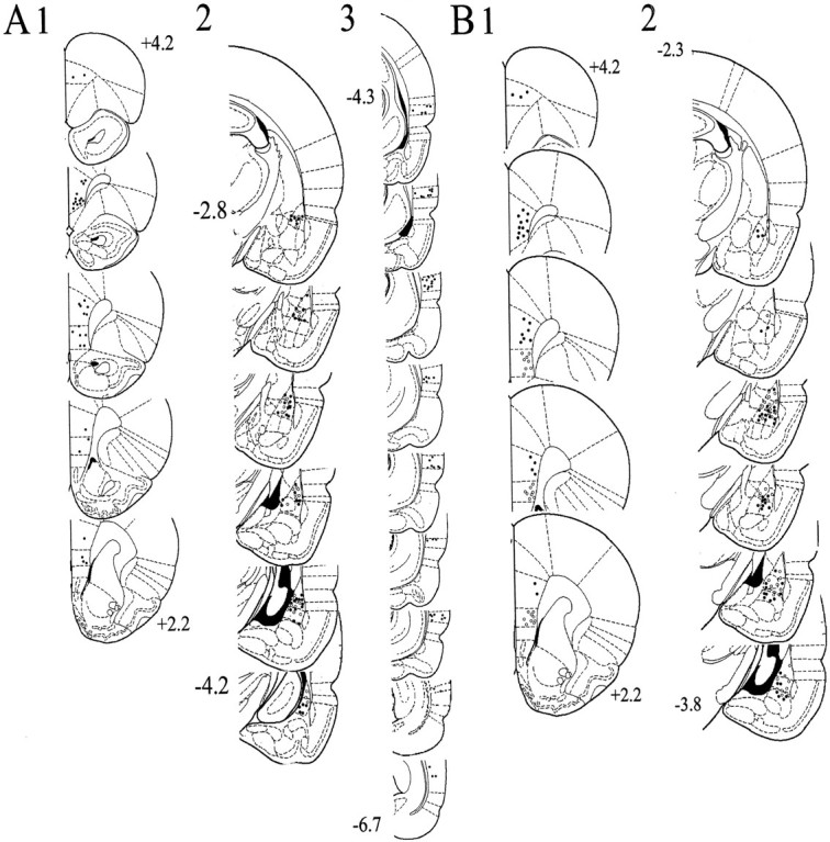 Fig. 3.