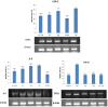 Fig. 2