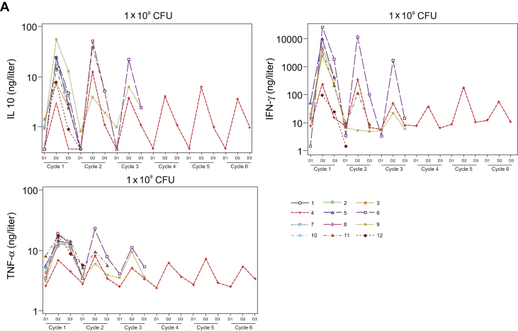 Figure 3