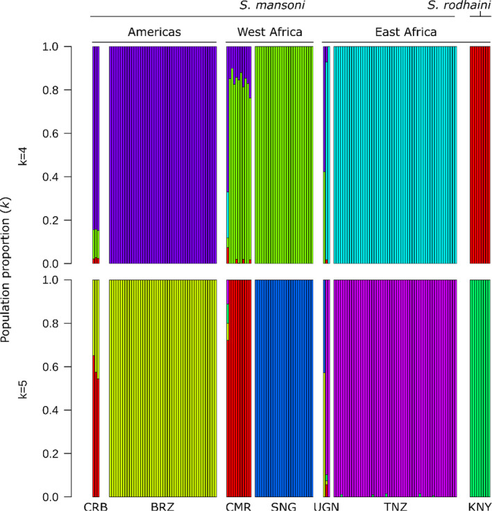 FIGURE 4