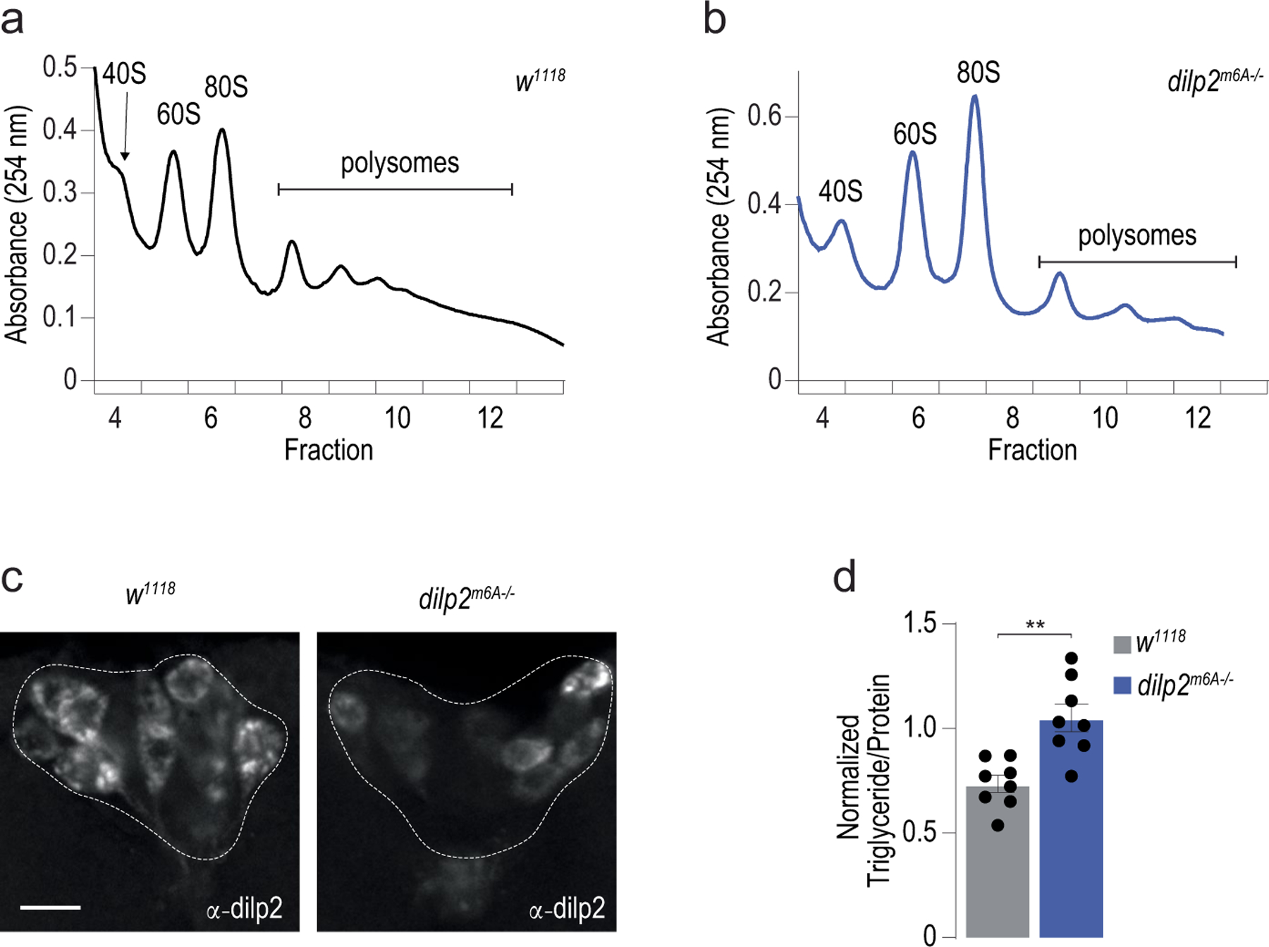 Extended Data Fig. 6 |