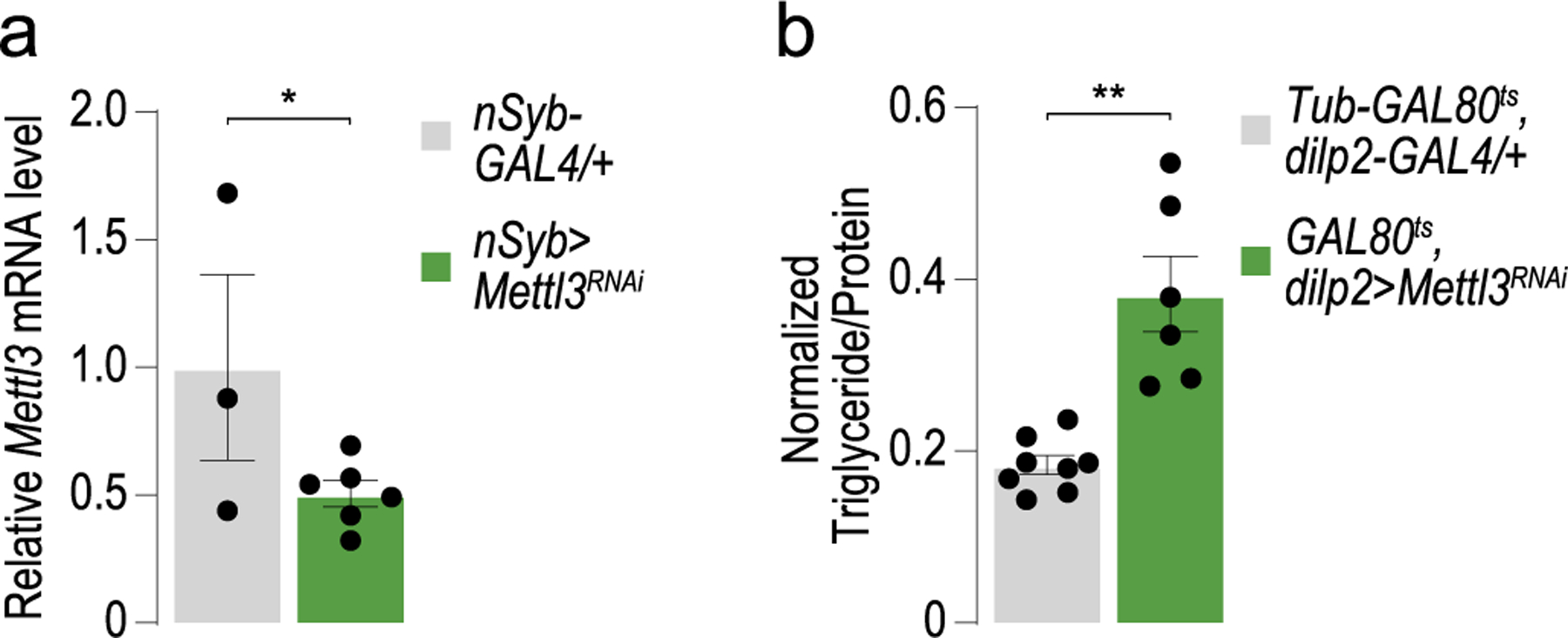 Extended Data Fig. 1 |