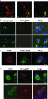 FIG. 4.