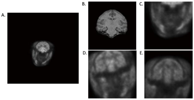 Fig. 5