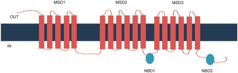 Figure 1.