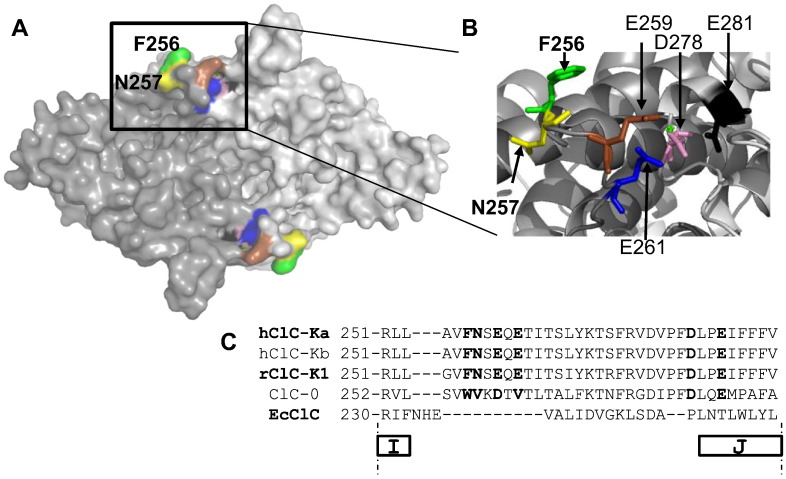 Fig. 1