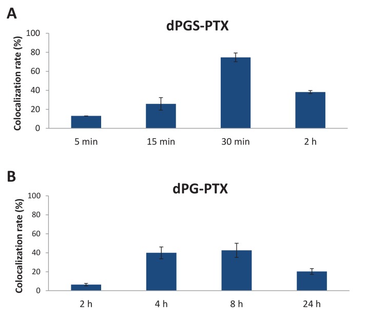 Figure 2—figure supplement 1.