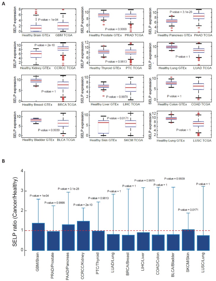 Figure 3—figure supplement 2.