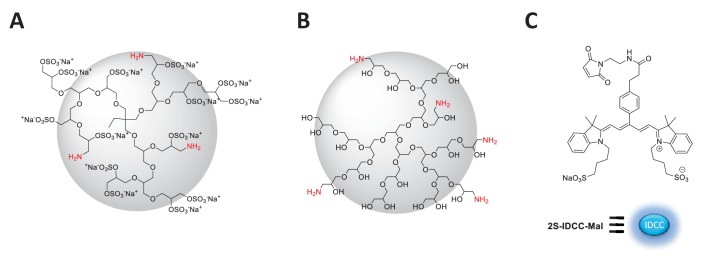 Figure 1—figure supplement 1.