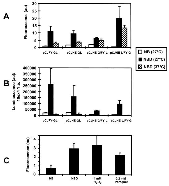 FIG. 3