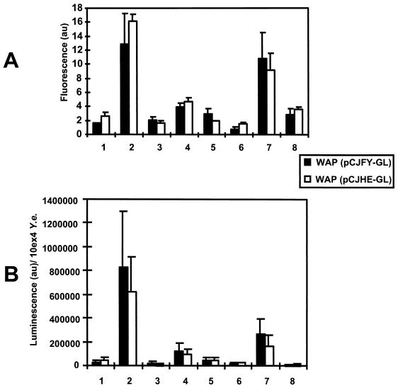 FIG. 4