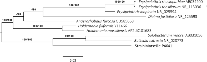 Fig. 1