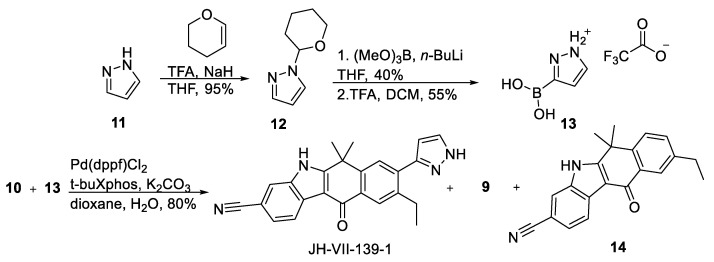 Scheme 2