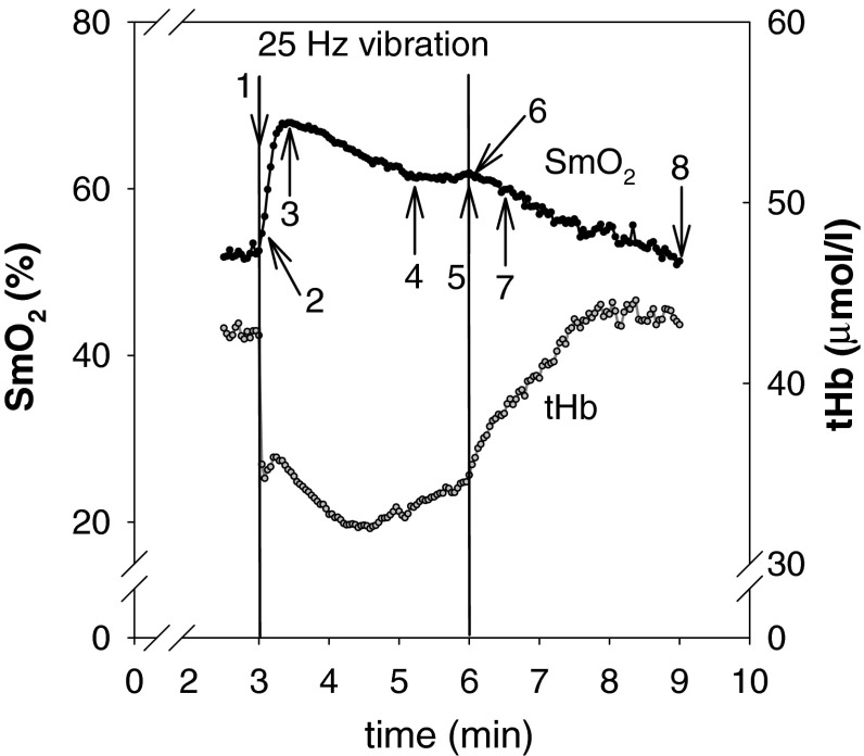 Fig. 2