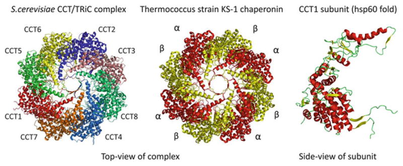 Fig. 7.3