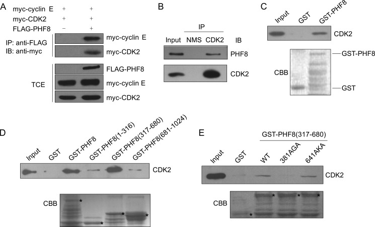 FIGURE 1.