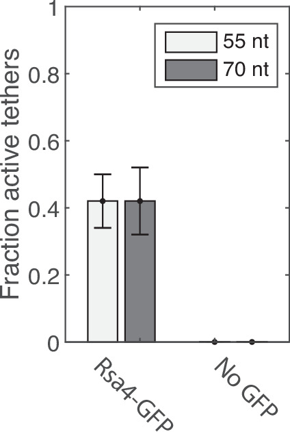 Figure 2—figure supplement 1.