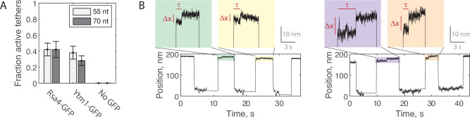 Figure 4—figure supplement 3.