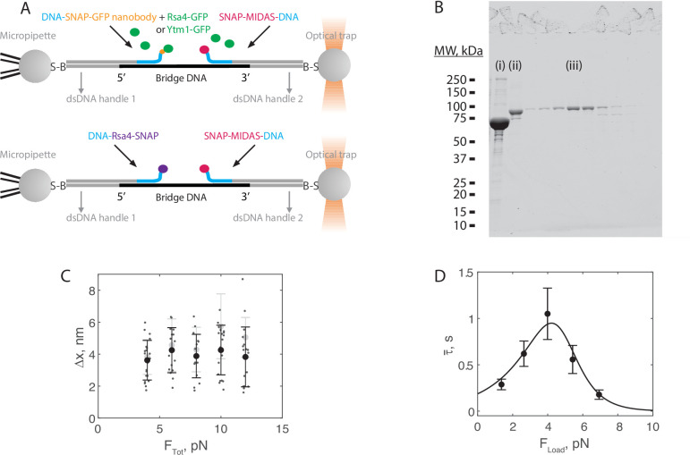 Figure 3—figure supplement 5.