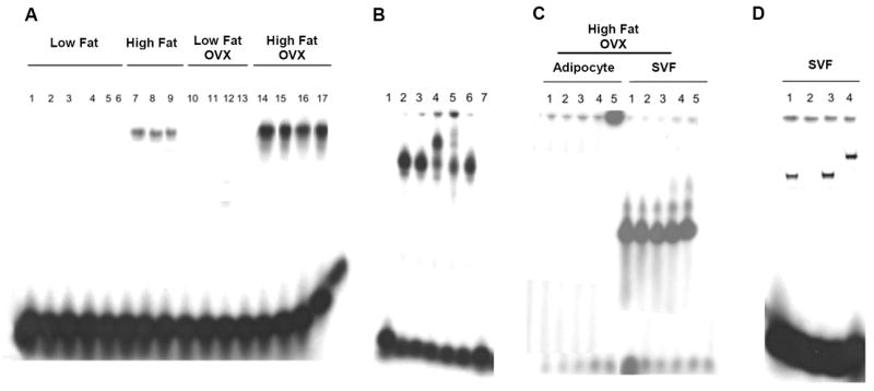 Fig. 10