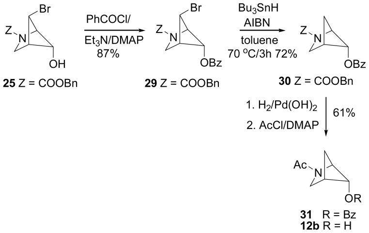 Scheme 5