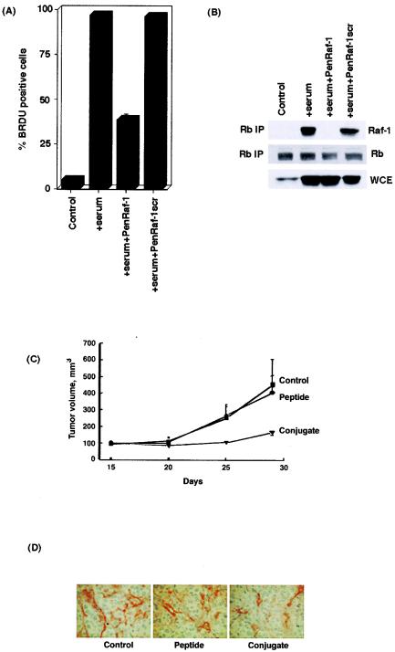 FIG. 12.