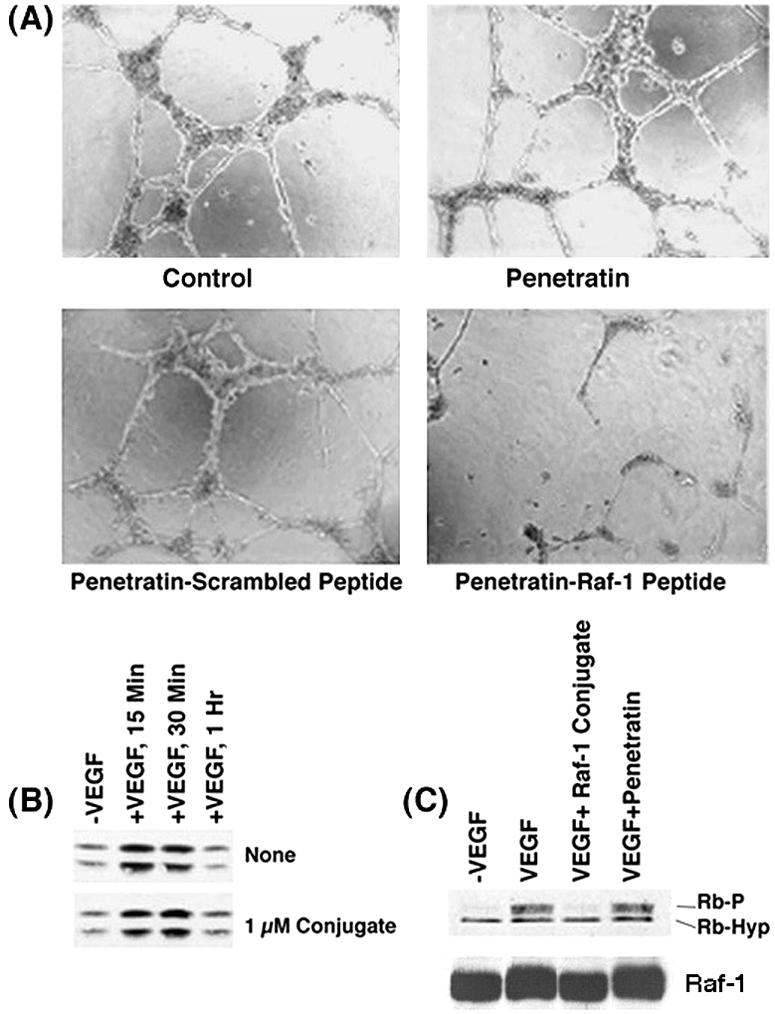 FIG. 11.