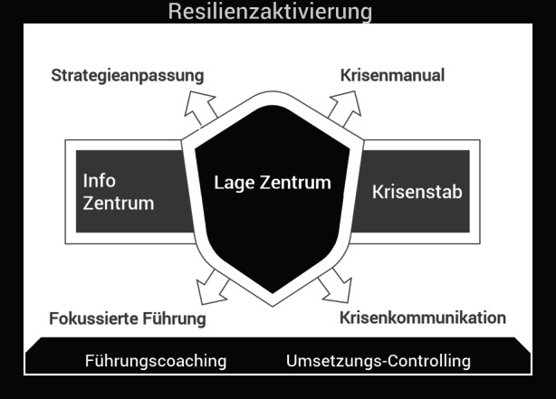 graphic file with name 11620_2020_546_Fig4_HTML.jpg