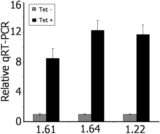 Figure 5